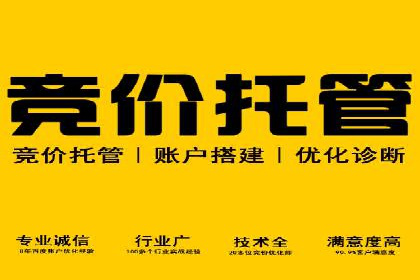 案例展示：专业SEM托管服务为企业带来精准流量
